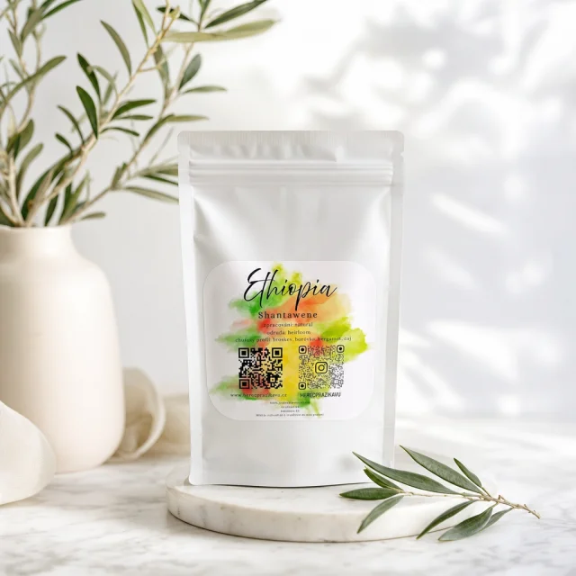 Ethiopia Shantawene